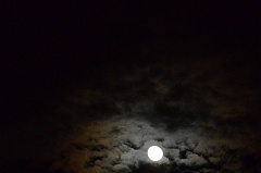 fullmoon 023